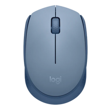 Mouse Logitech M171, Albastru | Gri