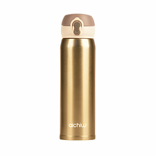 Aichiw cană termos AI-D69A 450 ML, aur