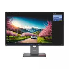 32" Monitor Gaming Lenovo ThinkVision P32UD-40, IPS 3840x2160 4K UHD, Negru