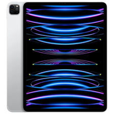 Apple 12.9-inch iPad Pro 512Gb Wi-Fi + Cellular Silver (MP233RK/A)