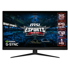 31.5” Gaming Monitor MSI G321Q/ 1ms/ 170Hz/ Black