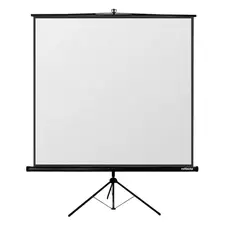 Ecran cu stativ Reflecta Crystal-Line, 1:1
