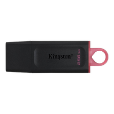 Memorie USB Kingston DataTraveler Exodia, 256GB, Negru