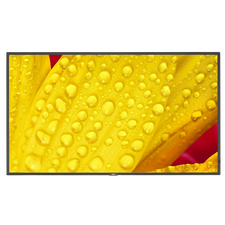 Display NEC MultiSync M651-2, 65", Negru