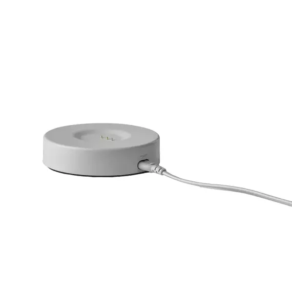 Boxă portabilă Harman Kardon Citation 200, Gri, 6 image