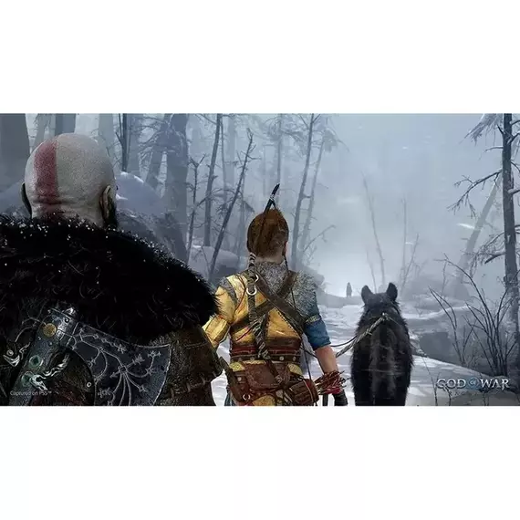 ActiVision God Of War: Ragnarok, Acțiune și aventură, PlayStation 4, Disc, 3 image