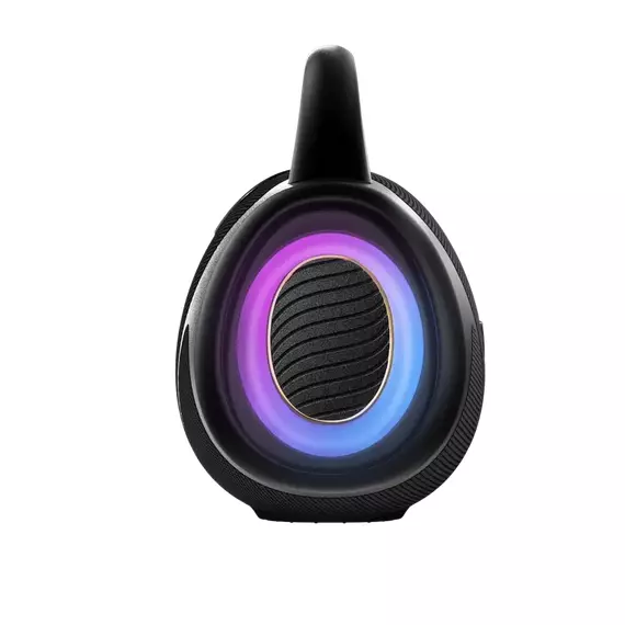 Portable Speakers VoyageBoom Hisense, Black, 7 image