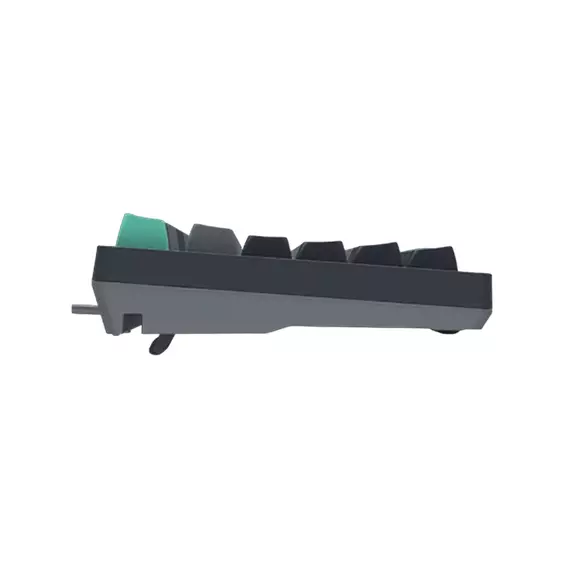 Tastatură A4Tech FS300, Cu fir, Panda Rock Climbing, 4 image