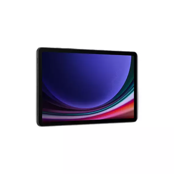 Tabletă Samsung Galaxy Tab S9, 5G, 8GB/256GB, Grafit, 8 image