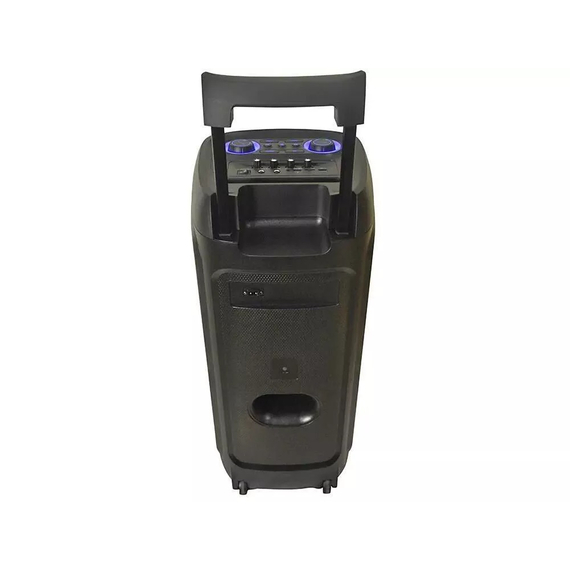 Eden Party Speaker ED-1015 with 2 Wireless Microphones 100W, H=73cm, Black, 2 image