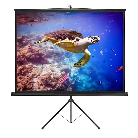 Ecran manual Reflecta Crystal-Line, 1:1, 2 image