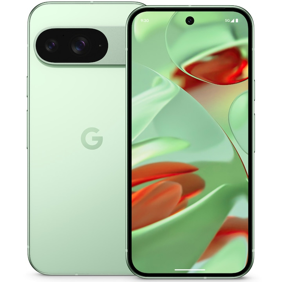 Google Pixel 9 12/256gb, Wintergreen