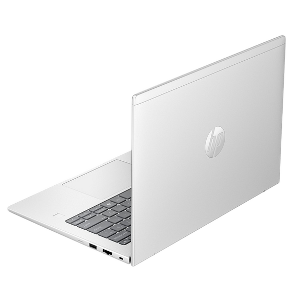 Laptop Business 14" HP ProBook 4 G1a 14, Pike Silver, AMD Ryzen 5 230, 16GB/512GB, FreeDOS, 2 image