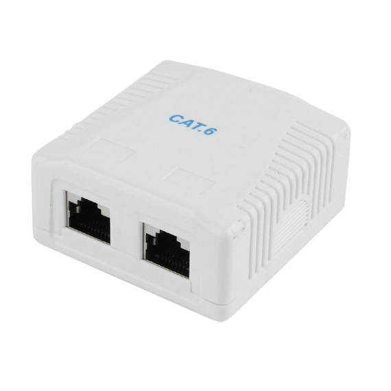 Priză pentru montare pe perete Cablexpert NCAC-2F6-01, Alb