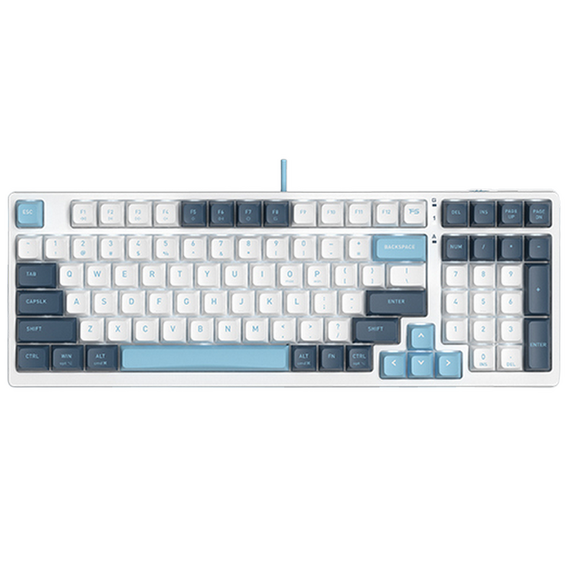Tastatură A4Tech FS300, Cu fir, Panda Snowboarding