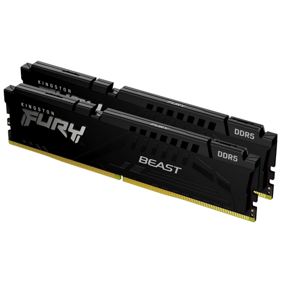 Memorie RAM Kingston FURY Beast, DDR5 SDRAM, 5600 MHz, 64GB, KF556C36BBEK2-64