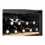 Dulap pentru vin Refregerator Hisense RW12D4NWG0, 7 image