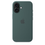 Husă Apple iPhone16 Silicone Case with MagSafe, Lake Green, 3 image