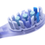 Oclean, 2 image