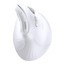 UGREEN Mouse Multi-mode Vertical MU008, Alb