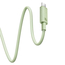 Baseus Cable Habitat Series Type-C la Type-C 5A 100W 1m, verde natural, 2 image