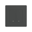 Moes Zigbee Star Ring Smart Push Button Swicth 2 Gang CR2032, gri