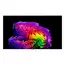77" OLED SMART TV LG OLED77G64LW, 3840x2160 4K UHD, webOS, Negru