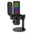 Microfon pentru calculator HATOR Dreamcast X RGB, Cu fir, Negru