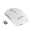 Mouse Wireless Gembird MUSW-4B-01-W, Alb