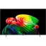 65" OLED SMART TV LG OLED65B65LA, 3840x2160 4K UHD, webOS, Negru