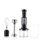 Raf Blender Set 4in1 R.3028, 400W