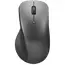 Mouse Lenovo 4Y51J62544, Storm Grey