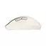 Mouse ASUS MD105, Milky White, 4 image