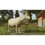 GIANTS Software Farming Simulator 26, Strategie, Nintendo Switch, Cartridge, 2 image