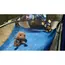 Game For PS4 Sackboy: A Big Adventure, 3 image