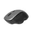 Mouse Wireless Gembird MUSW-6B-02, Gri | Negru, 6 image