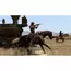Rockstar Games Games For PS5 Red Dead Redemption HD, 3 image