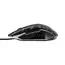 Mouse Gembird MUS-6B-GRAFIX-01, Optical, 1200-3600 dpi, 6 buttons, LED, Ambidextrous, 1.5m, Black, 6 image