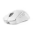 Mouse Wireless Logitech G PRO X Superlight 2 DEX, Alb, 3 image