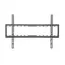 Suport fixat pe perete Gembird WM-70F-03, Negru, 7 image