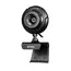 Cameră Web A4Tech PK-710G, 640 x 480, Negru, 4 image