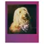 Hârtie foto Polaroid Color Film for Go, 16 buc, 5 image