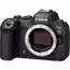 Aparat Foto Mirrorless Canon EOS R6 MARK II BODY V5GHz, 5 image