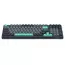 Tastatură A4Tech FS300, Cu fir, Panda Rock Climbing, 3 image