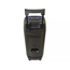 Eden Party Speaker ED-1015 with 2 Wireless Microphones 100W, H=73cm, Black, 2 image