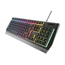 Genesis Keyboard Rhod 300, RGB, RU Layout, RGB Backlight, 2 image