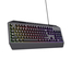 Tastatură Gaming Trust GXT 836 EVOCX, USB, Black, 2 image