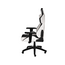 Scaun Gaming Genesis Nitro 650, Howlite White, 4 image