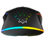 Gaming Mouse SVEN RX-G850, Negru, 3 image